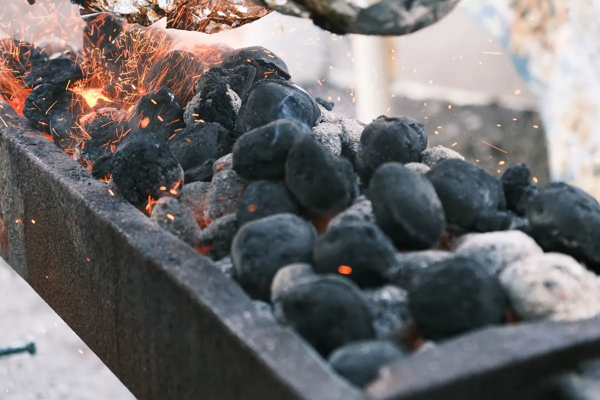 Beginner's Guide to Lighting a Charcoal BBQ Without Lighter Fluid